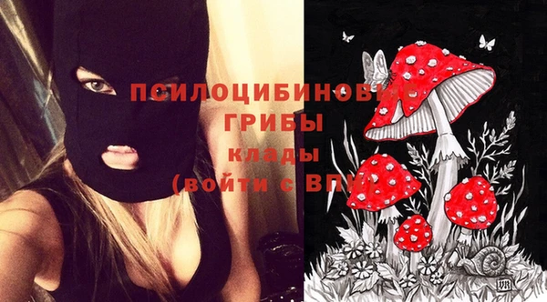 мескалин Богородицк